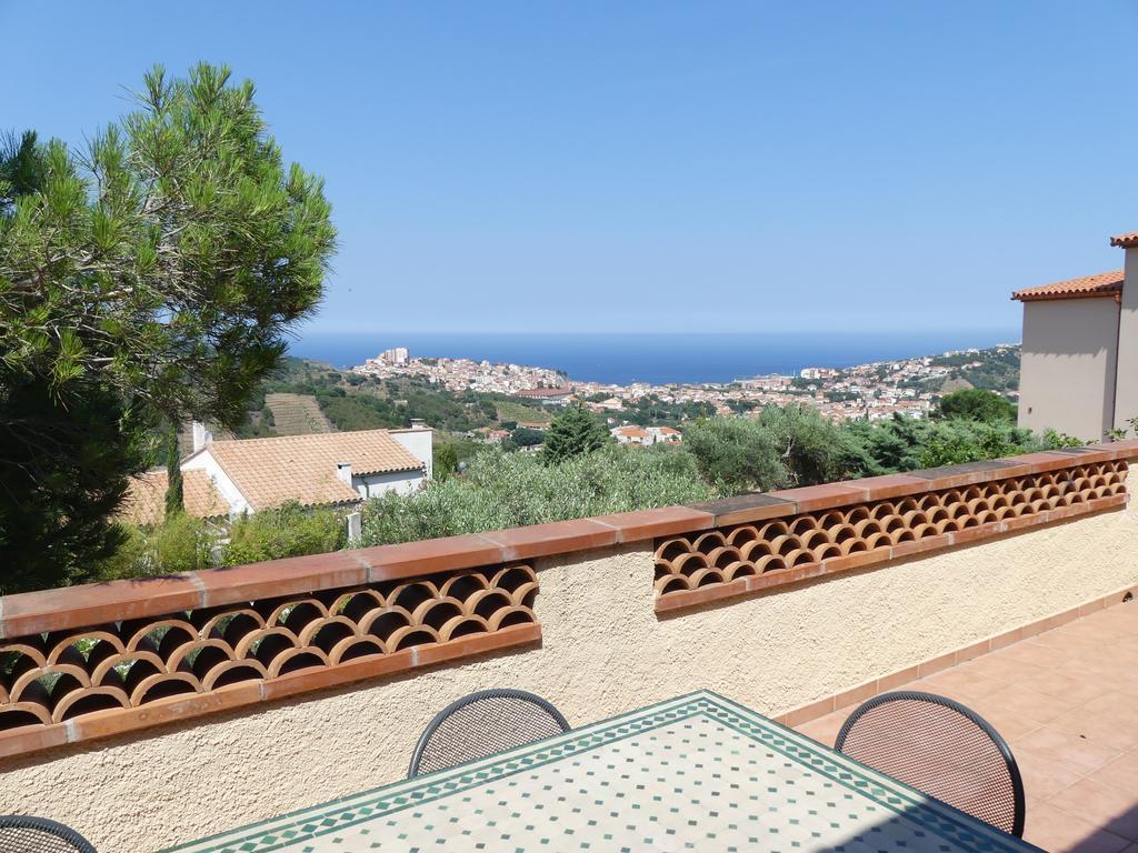 Villa Superbe Vue Sur Mer Et Sur La Montagne Jardin Terrasses 滨海巴纽尔斯 外观 照片